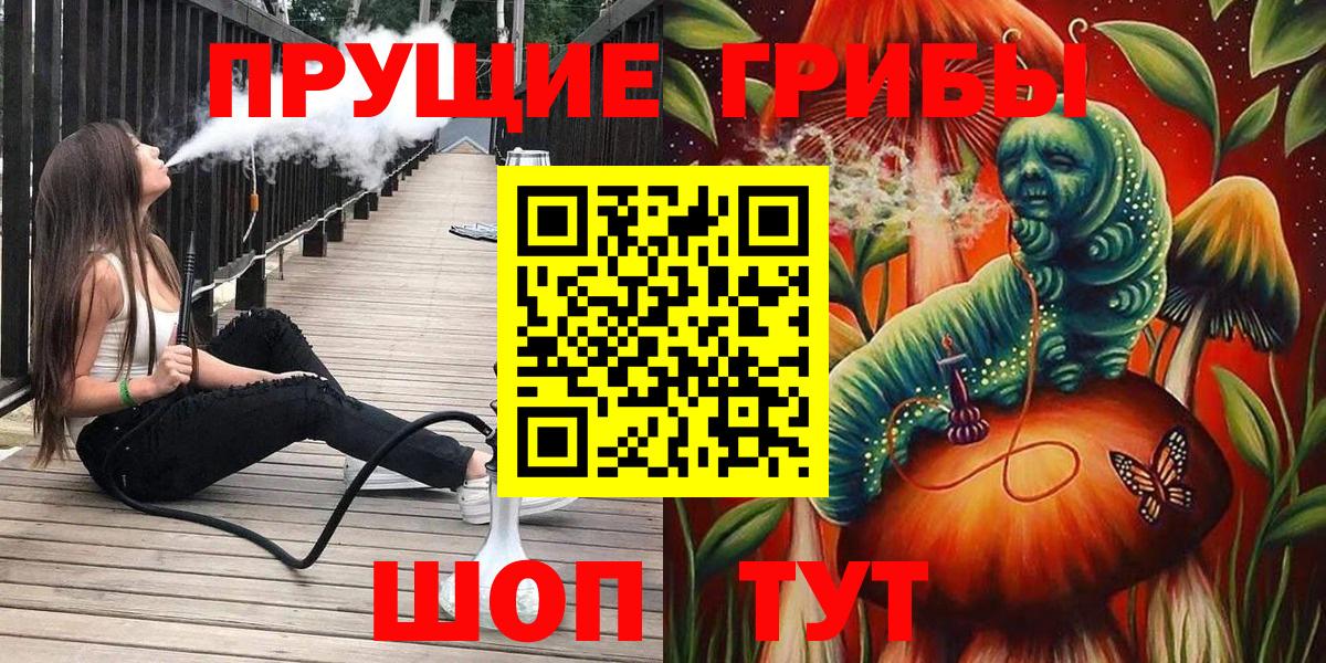 Псилоцибиновые грибы MAGIC MUSHROOMS  закладки  Сокол  Вход с VPN  Галлюциногенные грибы ЛСД 