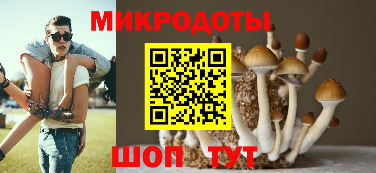 Галлюциногенные грибы прущие грибы Сокол