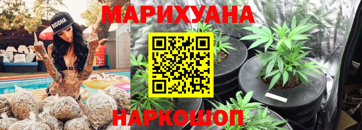Каннабис SATIVA & INDICA Сокол